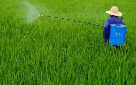 農(nóng)用無人機出現(xiàn)之前，植保是什么樣的
