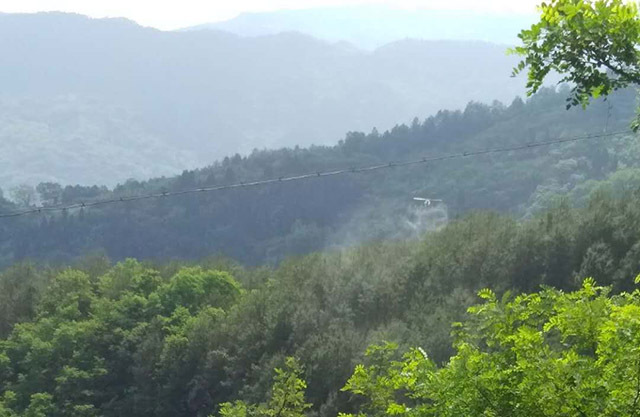 綦江區(qū)：無(wú)人機(jī)防治松毛蟲害