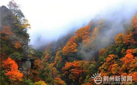 神農(nóng)架首屆無人機航拍大賽（冠軍獎金20萬元來報名吧）